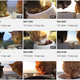 Image for article titled YouTube Channel Of A Man Feeding Stray Cats Keeps Me Calm